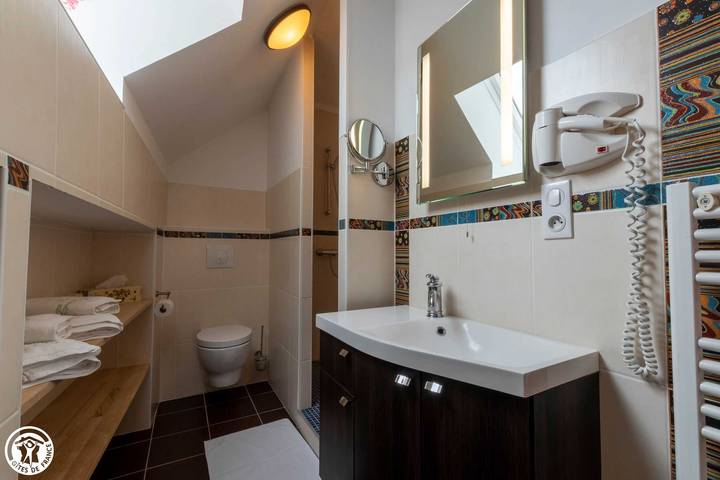 Gîte pour 15 personnes, avec piscine et terrasse dans Marne - 4