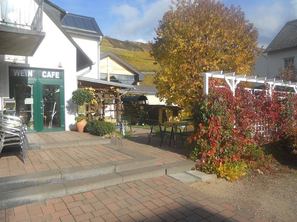 Ganze Ferienwohnung, 4-Bettwohnung Mosel in Klüsserath, Moseleifel