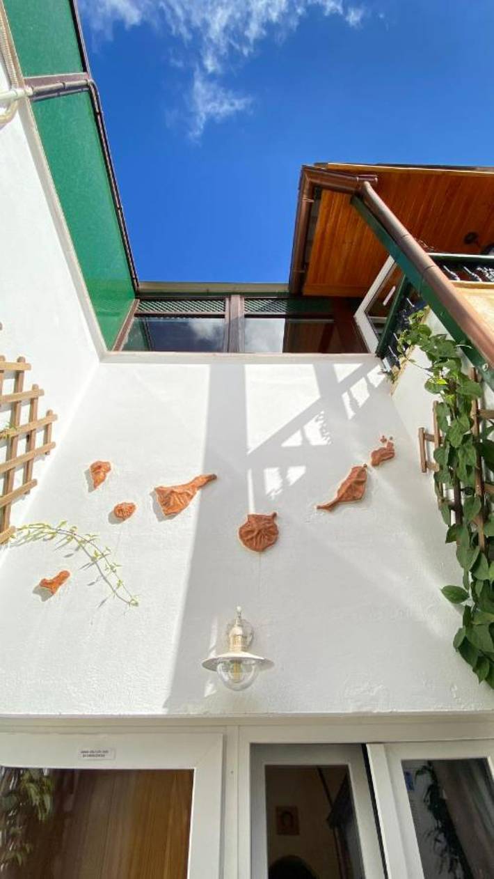 Ferienhaus für 4 Personen, mit Haustier auf Gran Canaria - 3