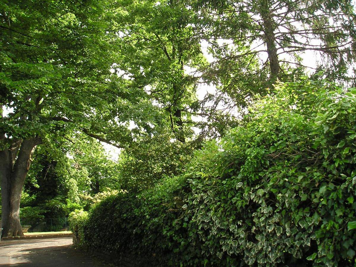 Casa vacanze Il Parco in Manziana, Lago di Bracciano