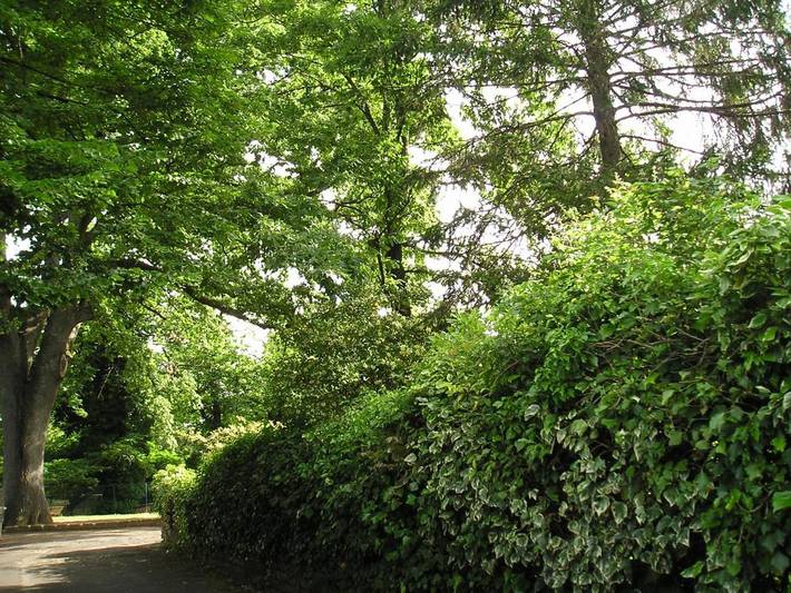 Location de vacances pour 5 personnes, avec piscine ainsi que jardin et balcon, animaux acceptés à Bracciano - 4