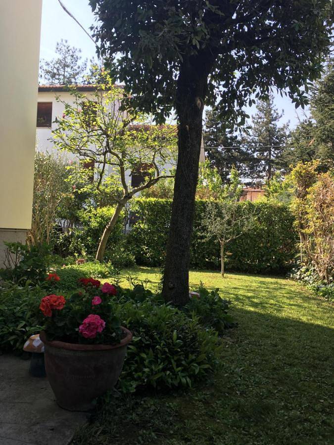 Gîte pour 5 personnes, avec piscine et jardin, animaux acceptés dans Castrocaro Terme - 2
