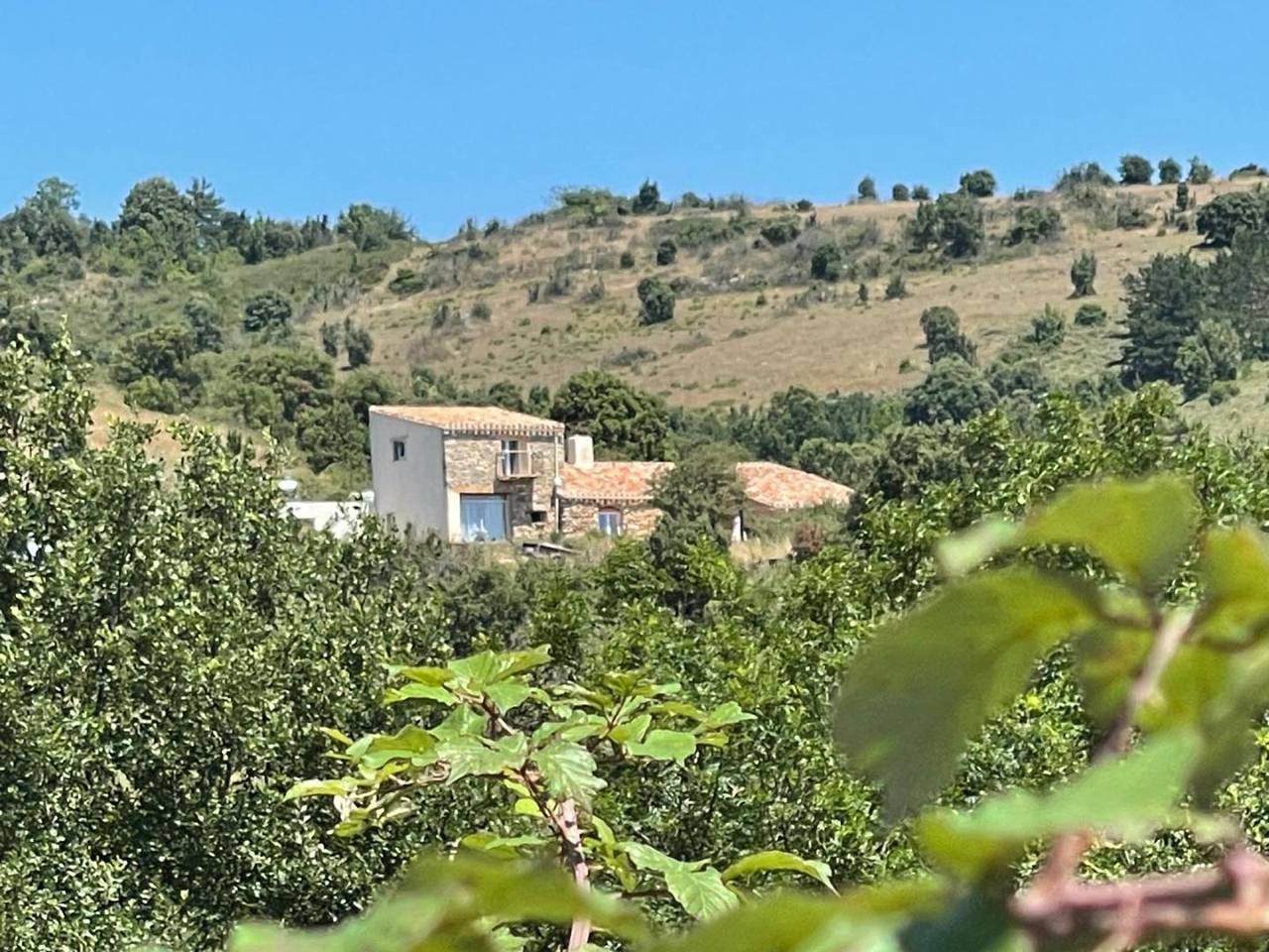 Domaine de Fontbourgues in Albières, Parc naturel régional Corbières-Fenouillèdes