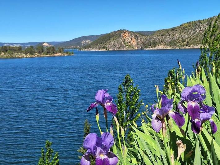 Apartamento de vacaciones para 6 personas, con jardín, Se admiten mascotas en Provincia de Guadalajara - 4