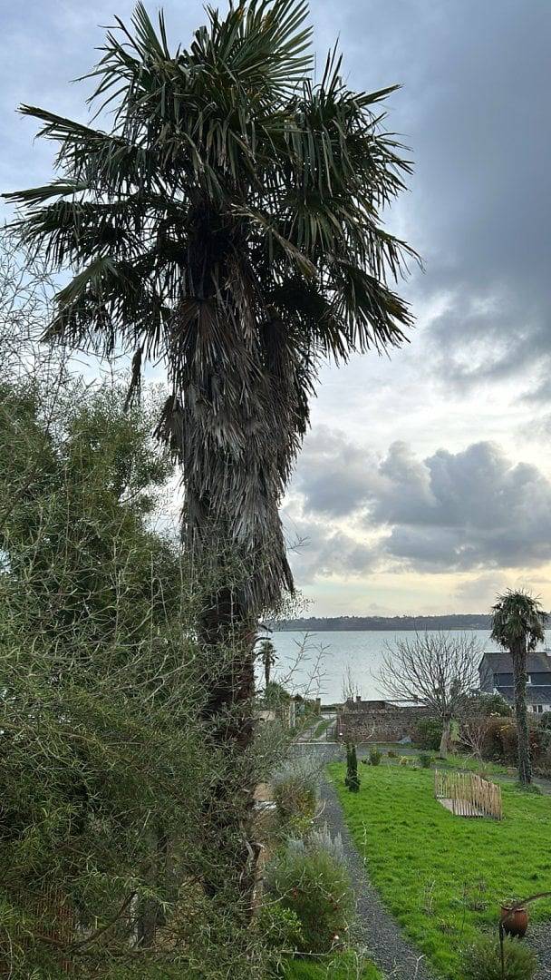 Location de vacances pour 2 personnes, avec jardin à Perros-Guirec - 2