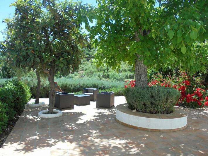 Casa rural para 6 personas, con piscina además de jardín y vistas en Grazalema - 4