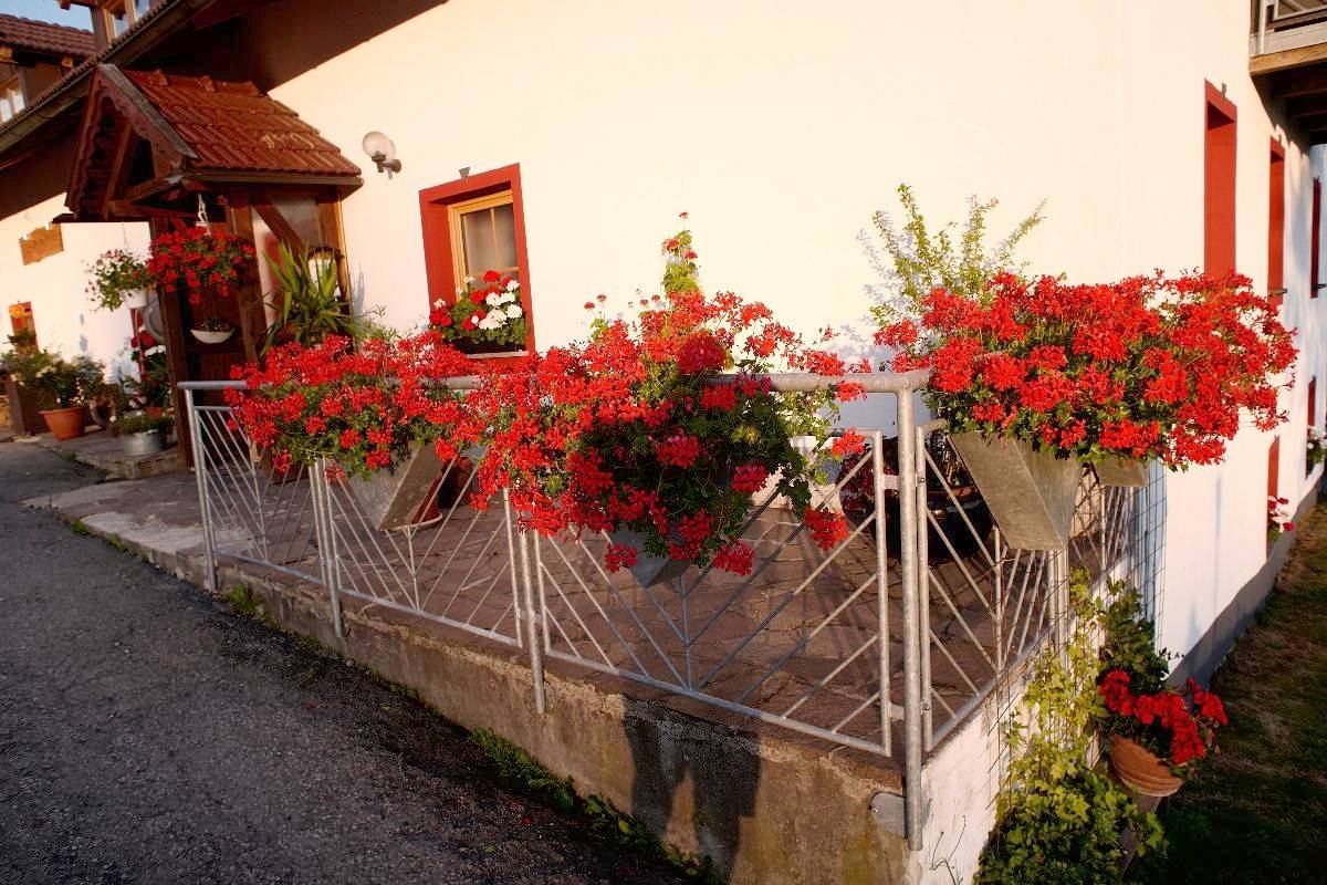 Ferienwohnung Mirtei - Ferienwohnung in Hohenau, Ostbayern