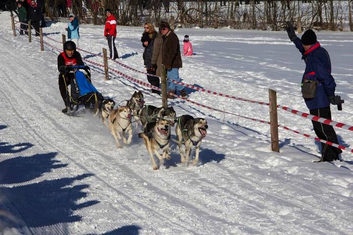 Ferienhaus für 5 Personen, mit Sauna und Ausblick sowie Garten und Terrasse in Clausthal-Zellerfeld - 4
