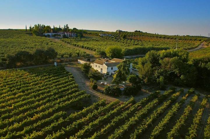 Villa pour 24 personnes, avec jardin - 1