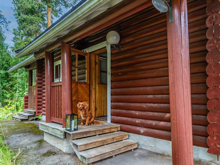 Location de vacances pour 5 personnes, animaux acceptés dans Tampere - 3