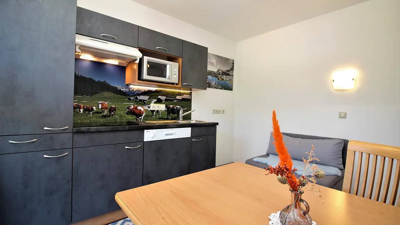 Ganze Ferienwohnung, Ferienwohnung für 3 Personen (26 m²) in Schladming in Schladming, Schladming-Dachstein