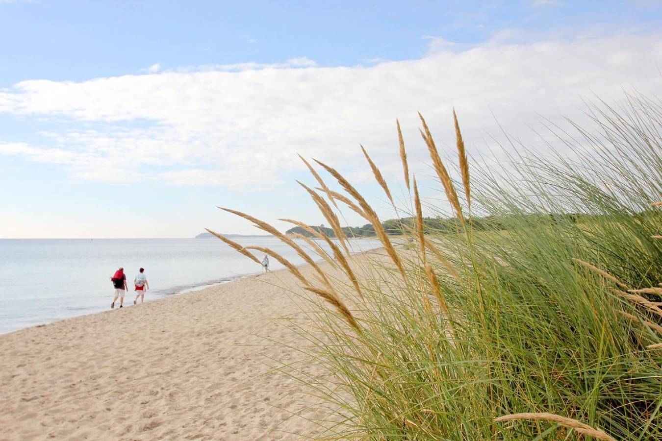 Ganze Wohnung, Strandnah mit Balkon, Schwimmbad- und Saunanutzung - Strandhaus Mönchgut Fewo11 in Lobbe, Mönchgut