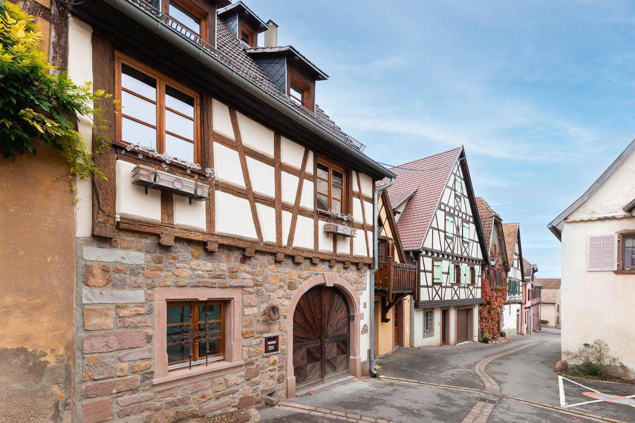 Appartement entier, Zellenberg - Gite d'Ela in Zellenberg, Parc naturel régional des Ballons des Vosges