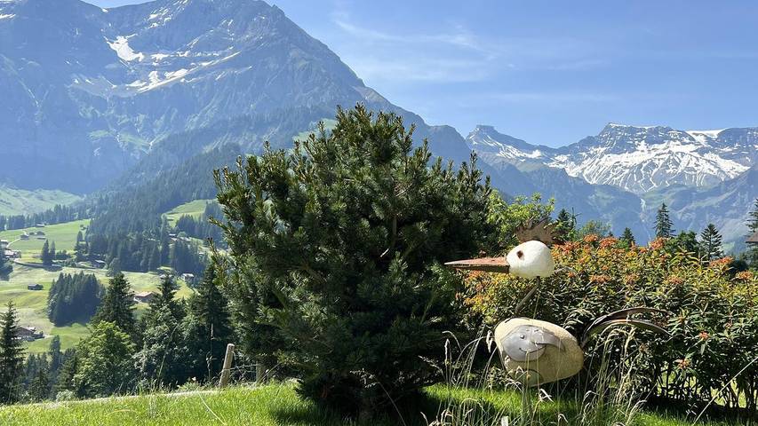Hütte für 2 Personen, mit Garten, mit Haustier in Adelboden - 4