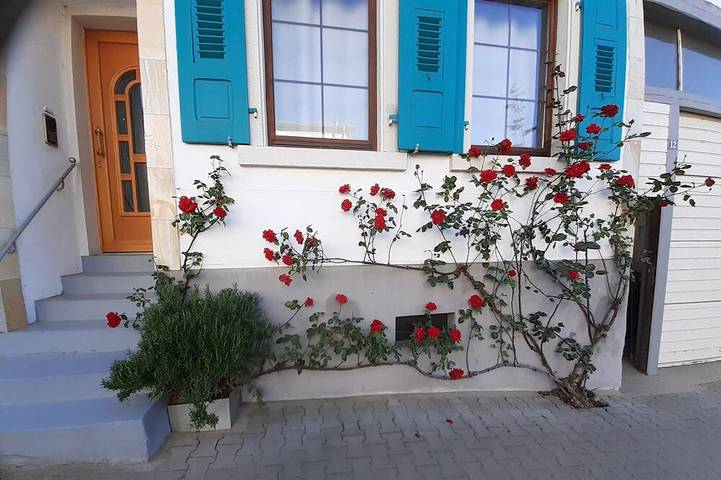 Ferienhaus für 8 Personen, mit Balkon und Garten