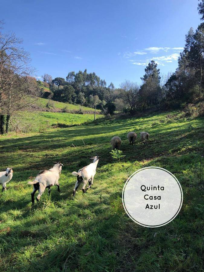 Quinta da Casa Azul in Óbidos, Leiria distrito