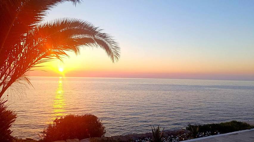 Ferienwohnung für 2 Personen, mit Garten und Ausblick sowie Terrasse, mit Haustier - 1