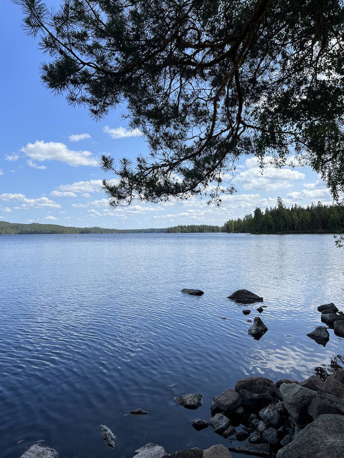 Schönes Ferienhaus im Småländischen Glasreich mit eigenem Boot in Norrhult, Kronobergs