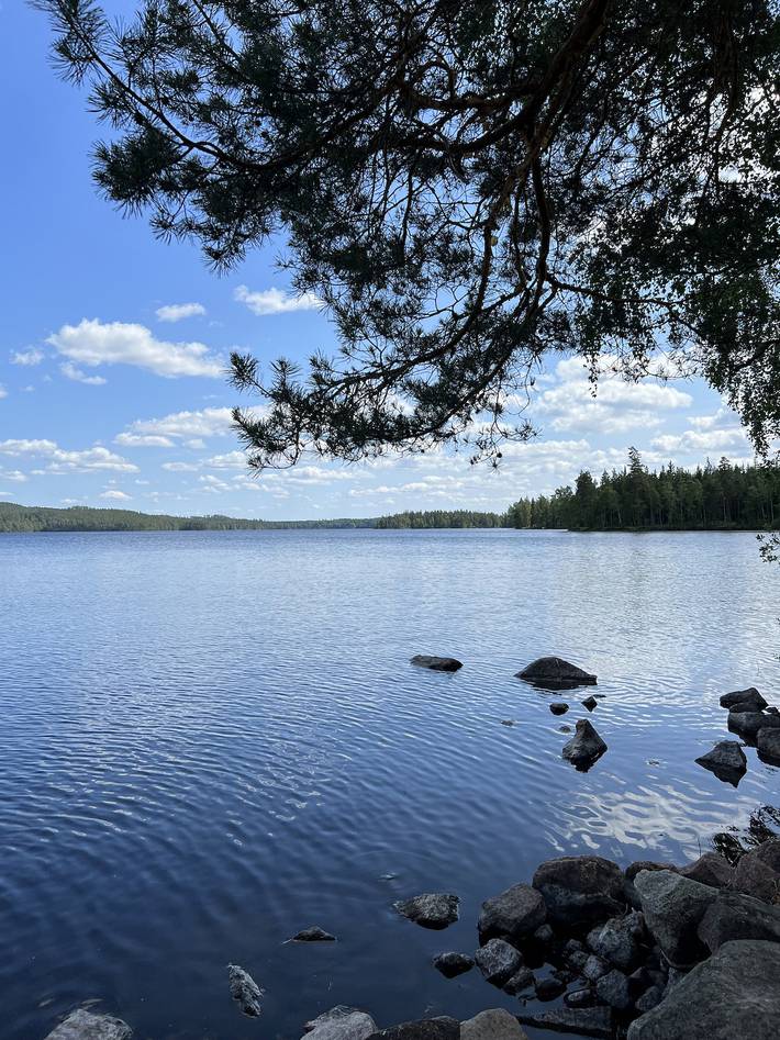 Schönes Ferienhaus im Småländischen Glasreich mit eigenem Boot in Norrhult, Kronoberg