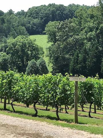 Log Cabin for 4 Guests in Chattahoochee National Forest, Towns County, Picture 1
