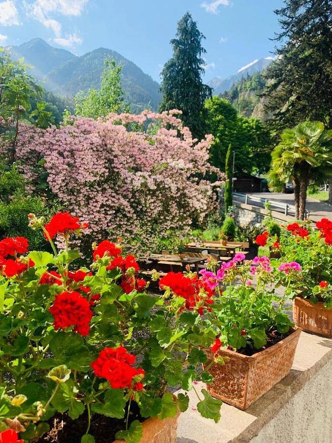 B&B für 2 Personen, mit Garten und Ausblick in Südtirol - 4