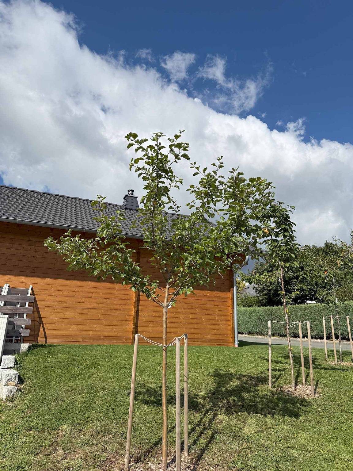 Vogelnest - Ferienhaus Vogelnest in Marktschorgast, Oberes Maintal - Coburger Land