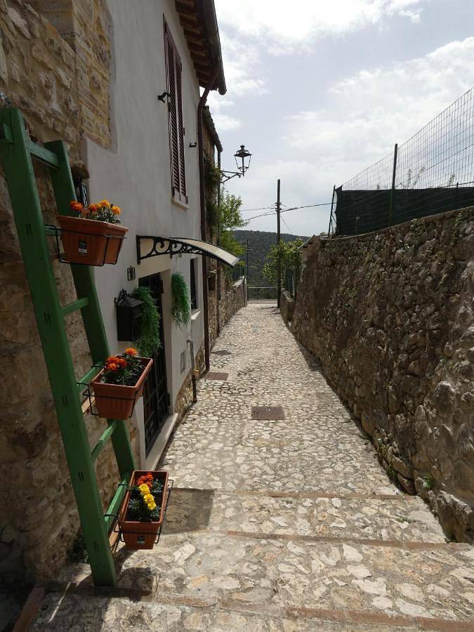 Holiday apartment for 4 people, with view and garden, child-friendly - 1