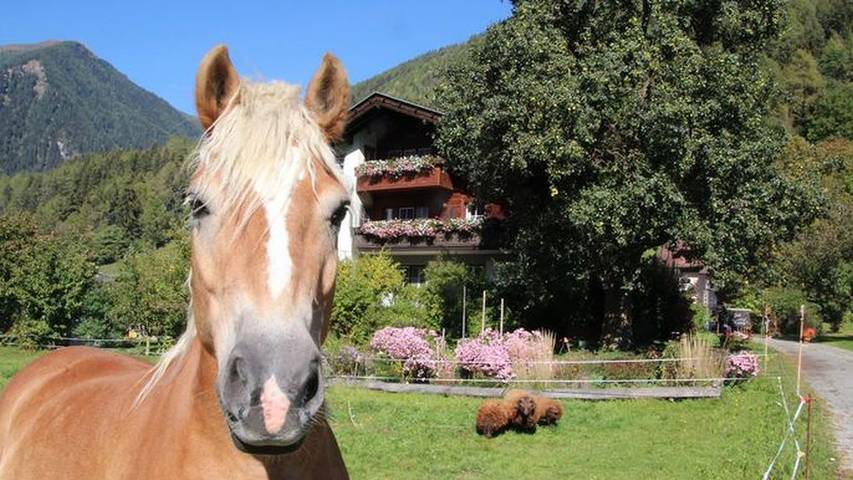Ferienwohnung für 7 Personen, mit Garten und Balkon - 1