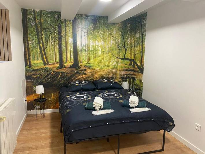 Gîte pour 6 personnes, avec jardin à Bron - 4