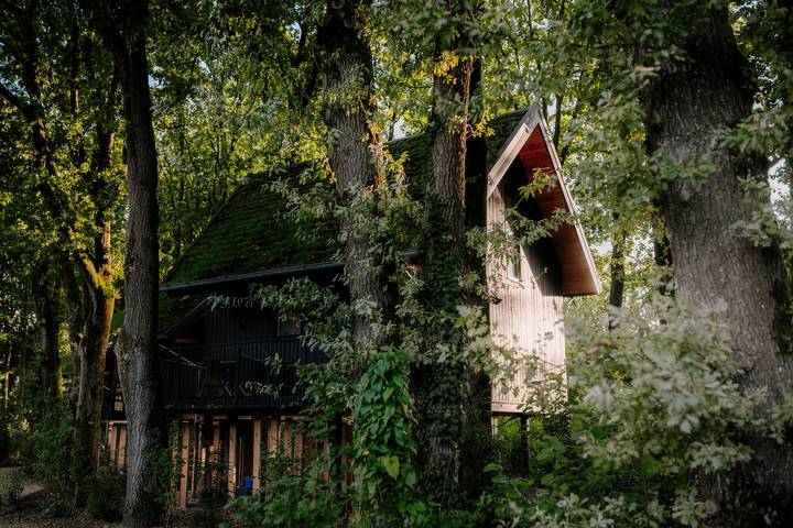 Villa voor 4 personen, met sauna op de Veluwe