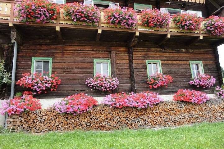 Ganze Wohnung, Vierbettzimmer, Dusche, Wc - Andenbacherhof in Rohrmoos, Schladming-Dachstein
