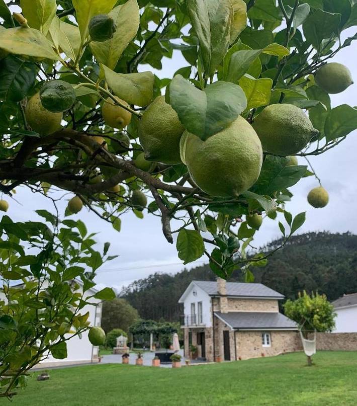 Chalet para 4 personas, con jardín y vistas en Provincia de Lugo - 4