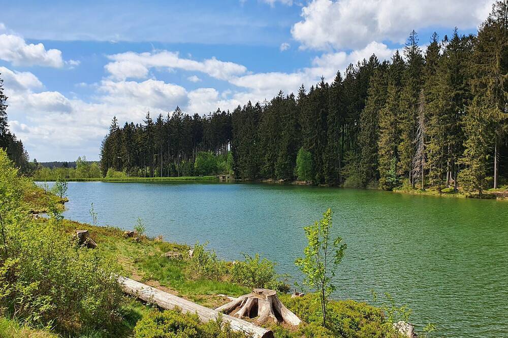 Appartamento vacanze a Harz a partire da 85€ a notte