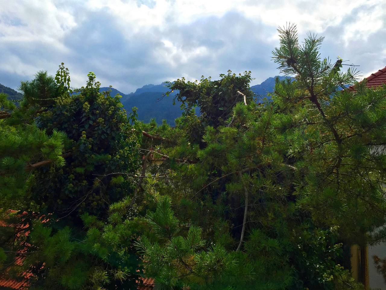 Ganze Ferienwohnung, Ciao-aschau Fewo Fey - Ferienwohnung 38 qm Wohn-/Schlafraum kombiniert und Balkon in Kampenwand, Aschau im Chiemgau