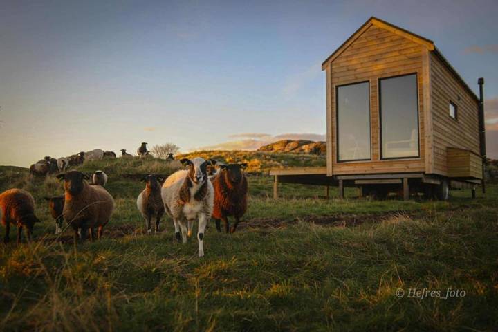 Ferienhaus für 4 Personen, mit Terrasse und Garten sowie Ausblick in Rennesøy