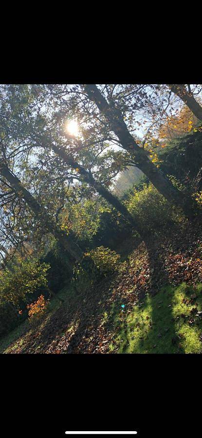 Gîte pour 2 personnes à Hames-Boucres - 2