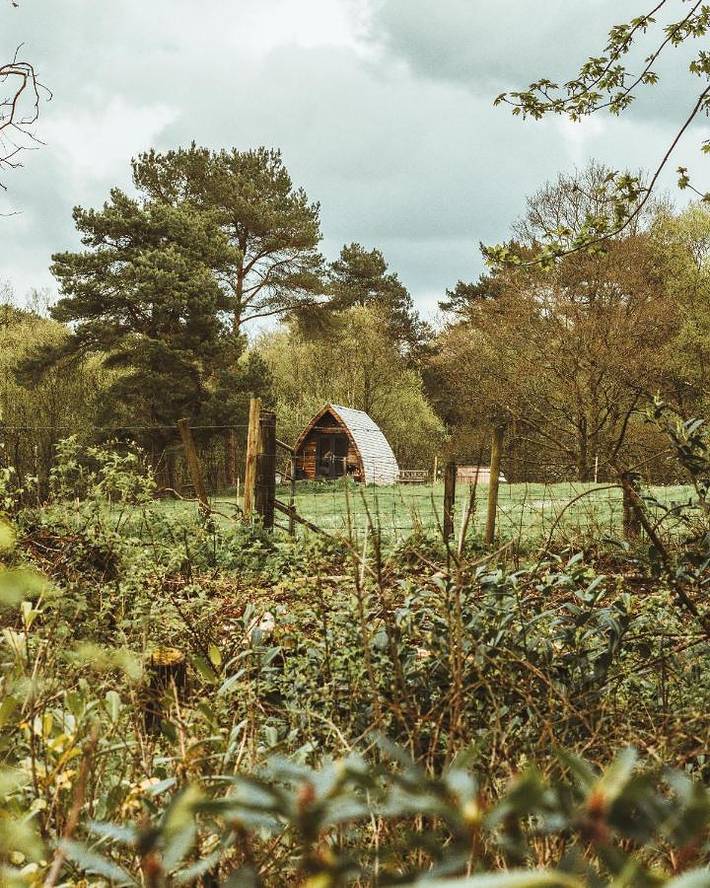 One-Bedroom Chalet in County Fermanagh