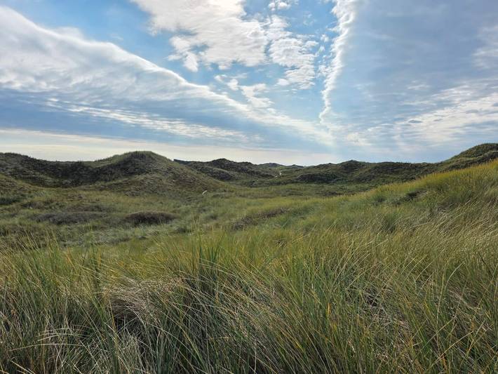 Ferienhaus für 14 Personen, mit Whirlpool und Terrasse, mit Haustier in Nissum Fjord - 3