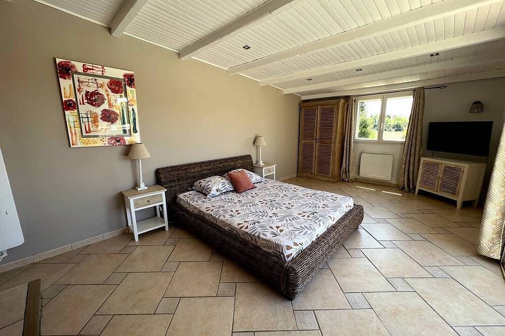 Near Nîmes, spacious villa with A/C, nice swimming pool, pets allowed (1). in Garons, Nimes region