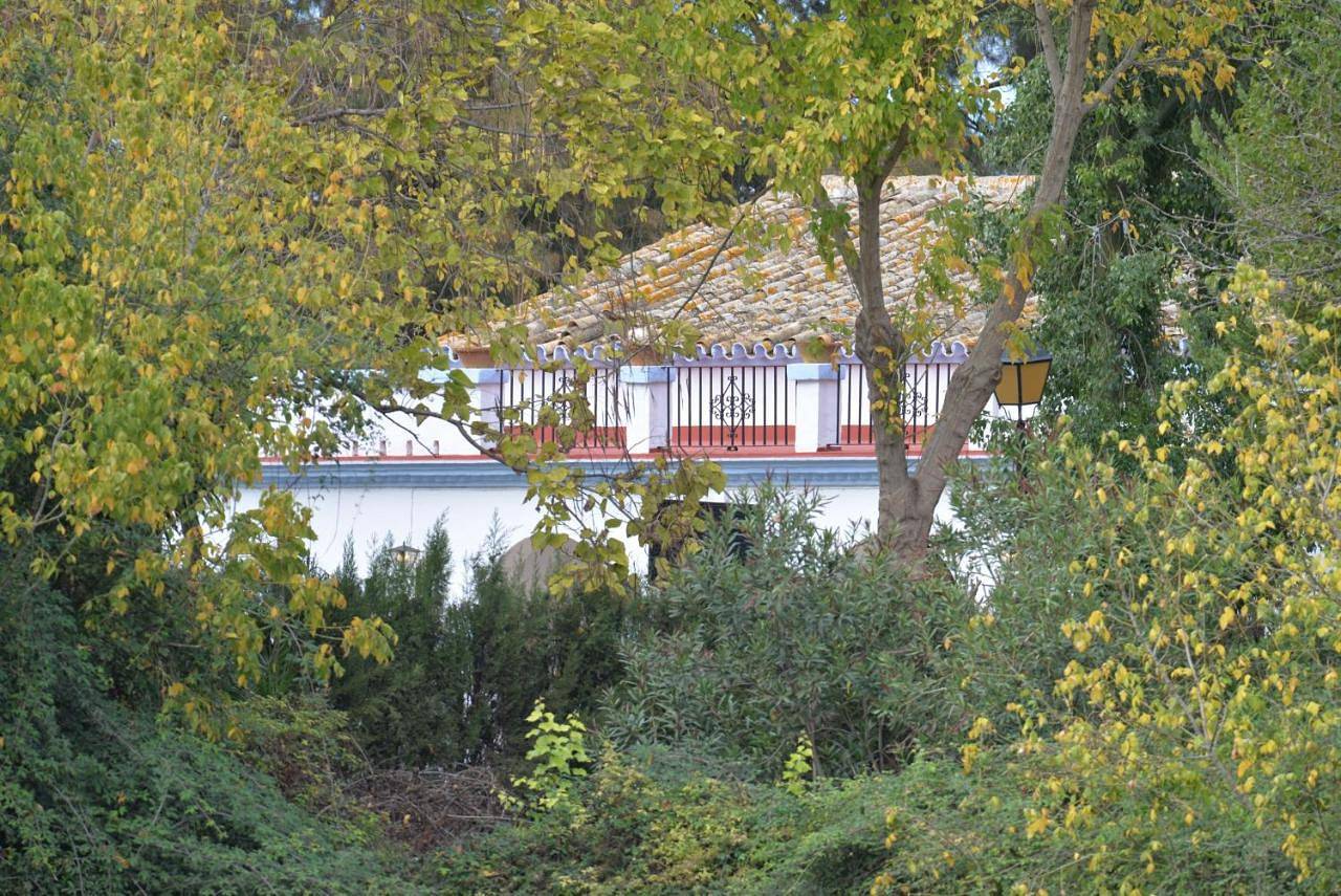 Villa in Manzanilla, Provincia de Huelva