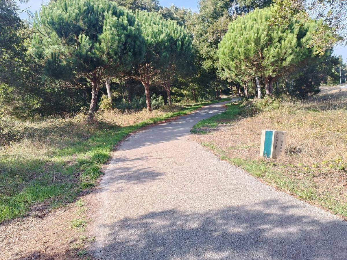 Apartamento inteiro, Big Fish 1 - Charming Beach Apartment in Aldeamento Miravillas, Mira (Coimbra)