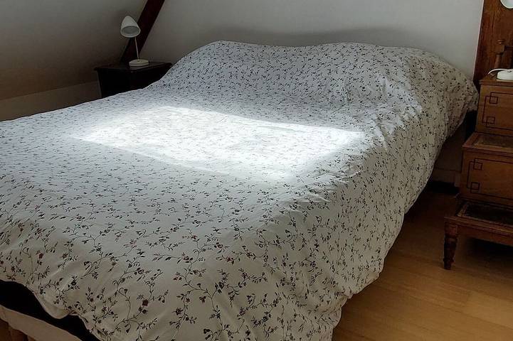 Location de vacances pour 10 personnes, animaux acceptés à Senonches - 4