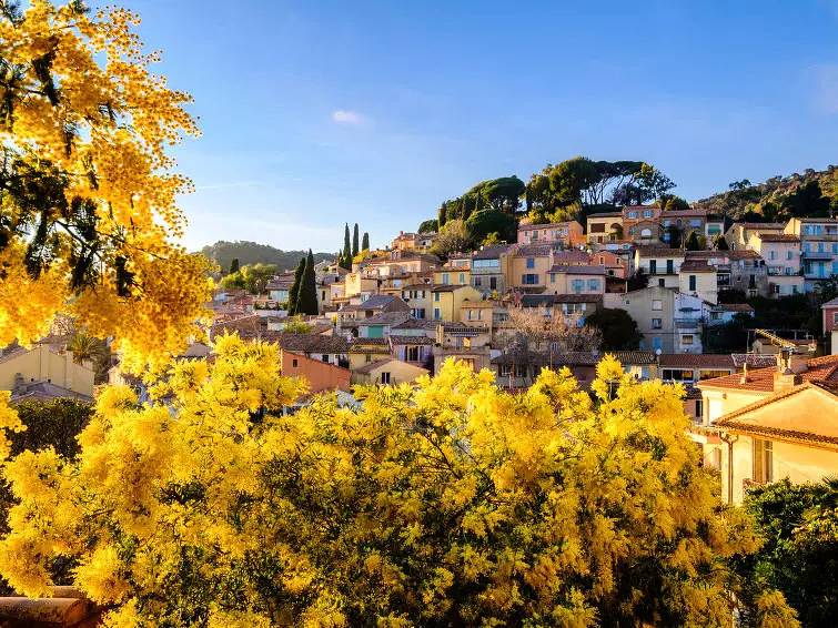 Huis 8 Personen in Bormes-les-Mimosas, Nationaal park Port-Cros