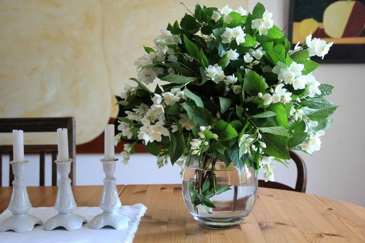 Cały apartament, Duplex Apartment in Nałęczów, Województwo lubelskie