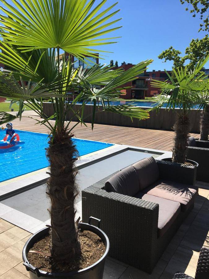 Ferienwohnung für 5 Personen in Balatonlelle