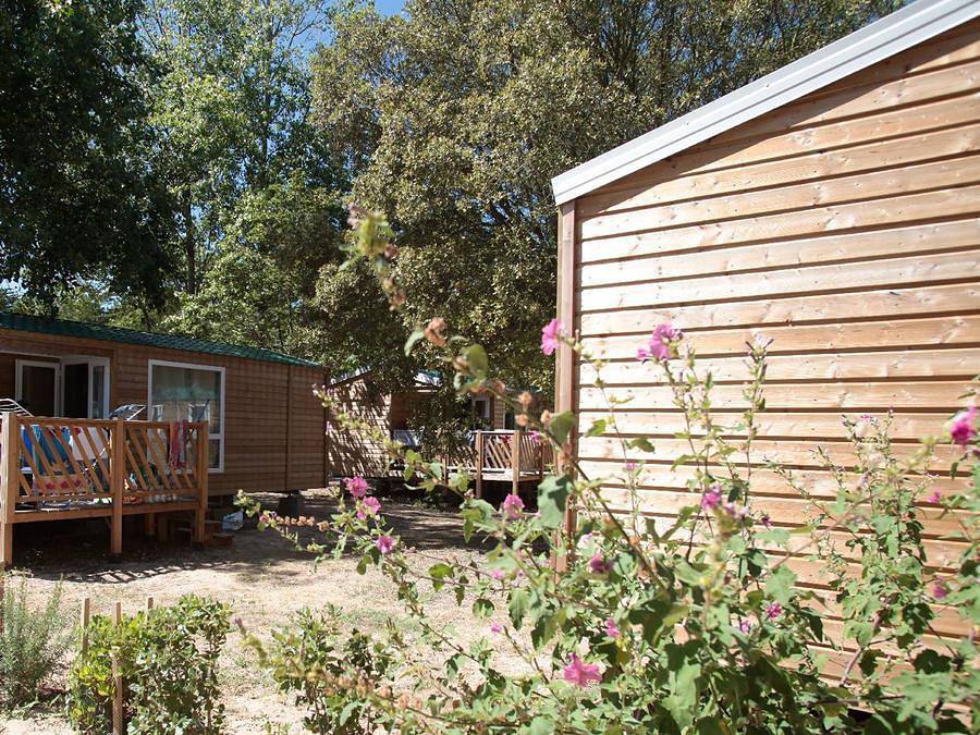 Flower Camping L’Escale du Perthuis - Mobilhome 4 personnes - Standard 25m² 2 chambres + terrasse semi-couverte in La Tranche-sur-Mer, Vendée