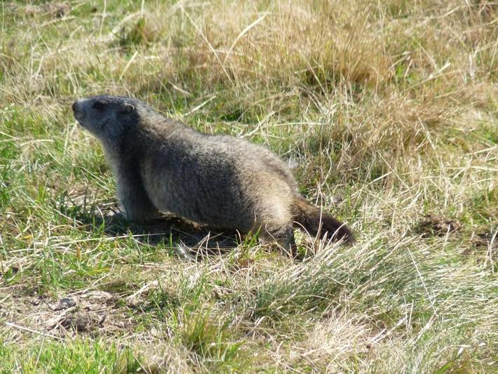 Hôtel pour 2 personnes, avec balcon dans Les Monts d'Olmes - 2