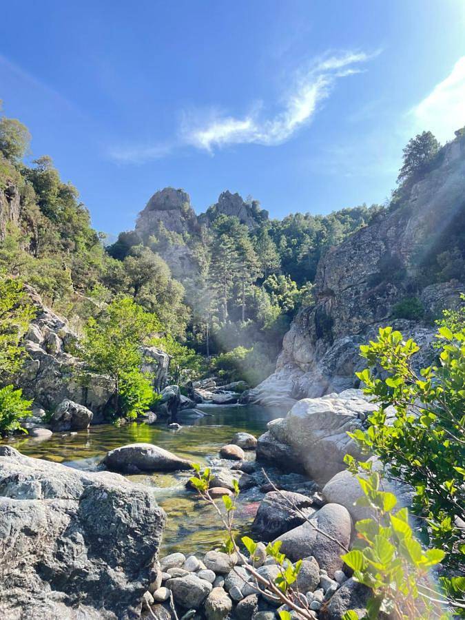 Gîte pour 4 personnes, avec balcon ainsi que piscine et jardin à Biguglia - 4