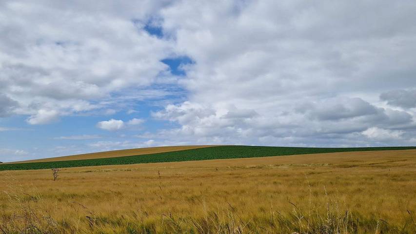 Ferienhaus für 5 Personen, mit Terrasse in Råbylille Strand - 4