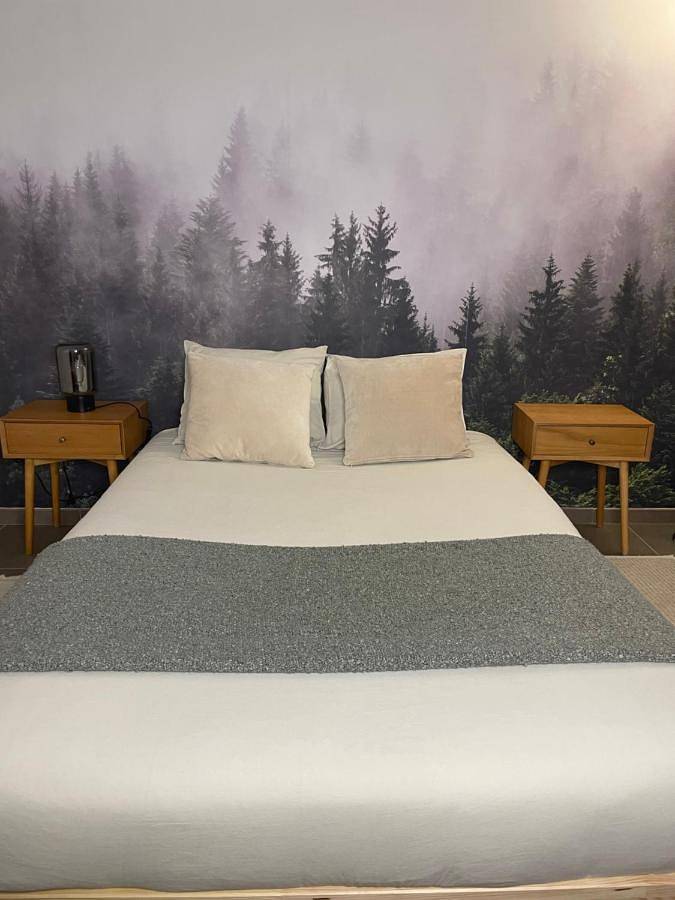 Double Room with Private Bathroom in Ellezelles, Hainaut